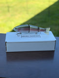 "The 758" 3 piece Green Back Trout