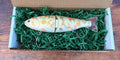 "The 758" 2 piece resin glide bait Koi Fish Pattern